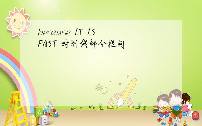 because IT IS FAST 对划线部分提问