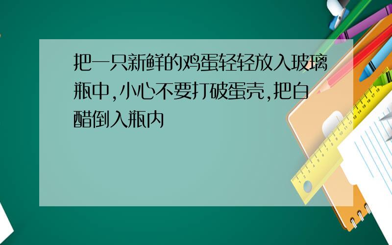 把一只新鲜的鸡蛋轻轻放入玻璃瓶中,小心不要打破蛋壳,把白醋倒入瓶内