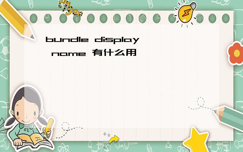 bundle display name 有什么用