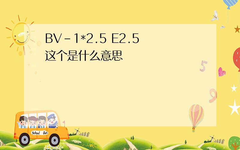 BV-1*2.5 E2.5 这个是什么意思