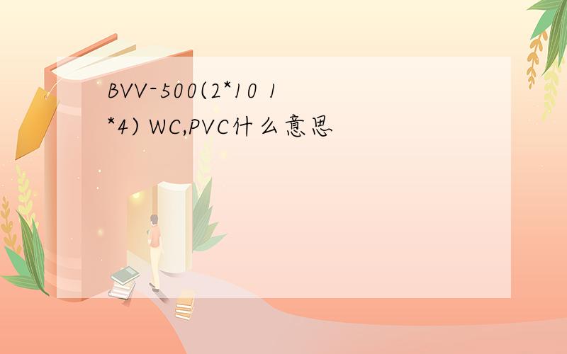 BVV-500(2*10 1*4) WC,PVC什么意思