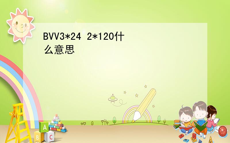 BVV3*24 2*120什么意思