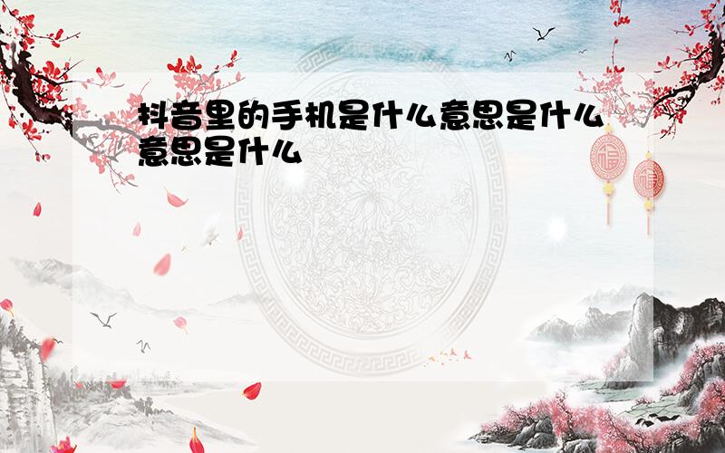 抖音里的手机是什么意思是什么意思是什么