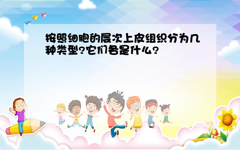 按照细胞的层次上皮组织分为几种类型?它们各是什么?