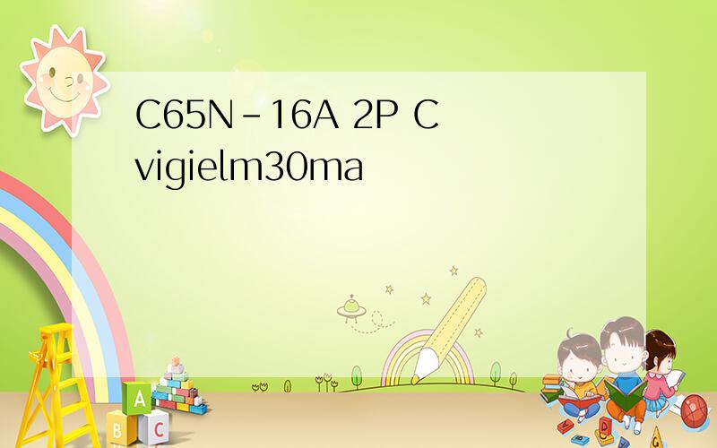 C65N-16A 2P C vigielm30ma