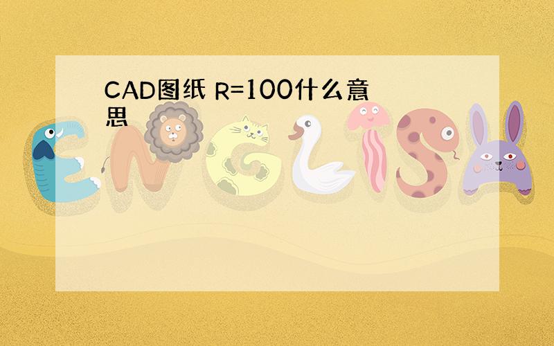 CAD图纸 R=100什么意思