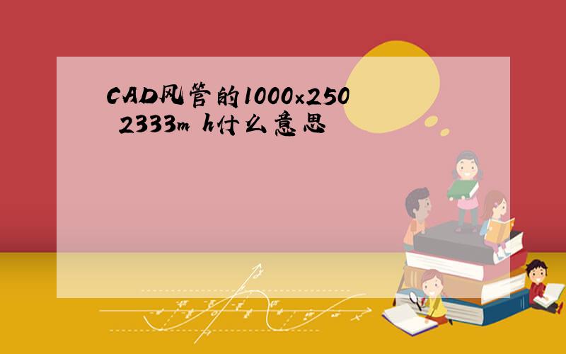 CAD风管的1000×250 2333m h什么意思