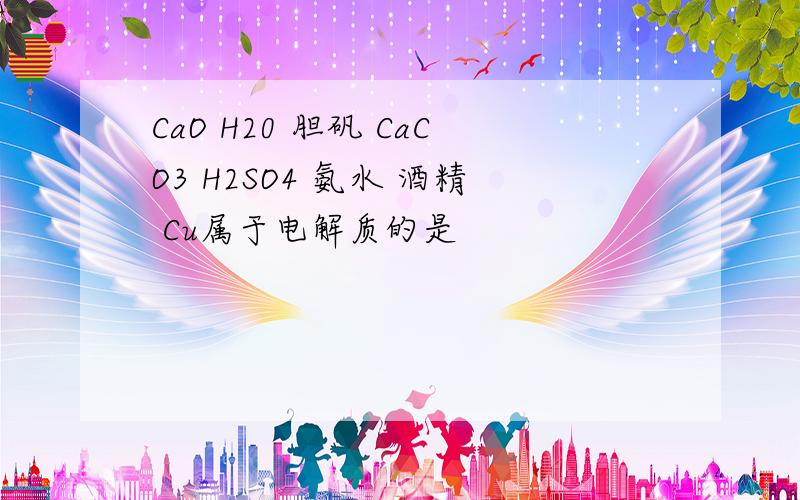 CaO H20 胆矾 CaCO3 H2SO4 氨水 酒精 Cu属于电解质的是