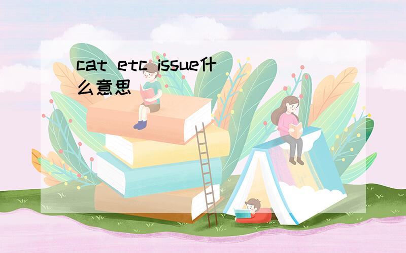 cat etc issue什么意思