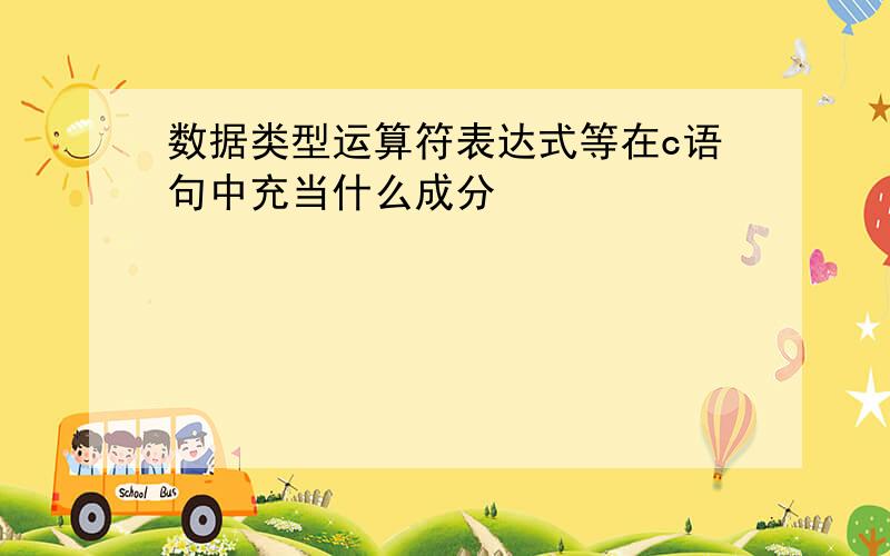 数据类型运算符表达式等在c语句中充当什么成分