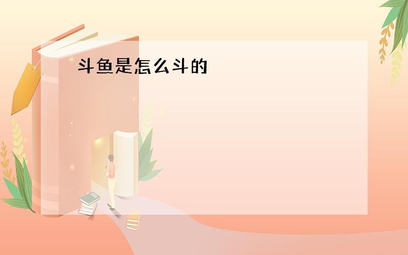 斗鱼是怎么斗的