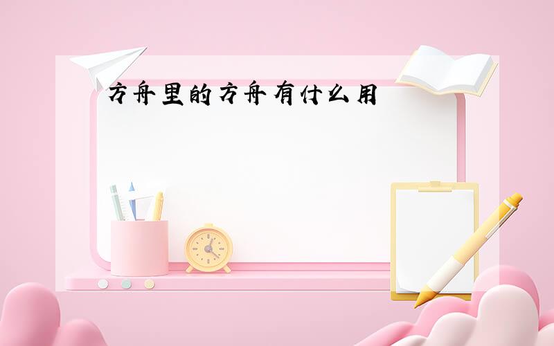 方舟里的方舟有什么用