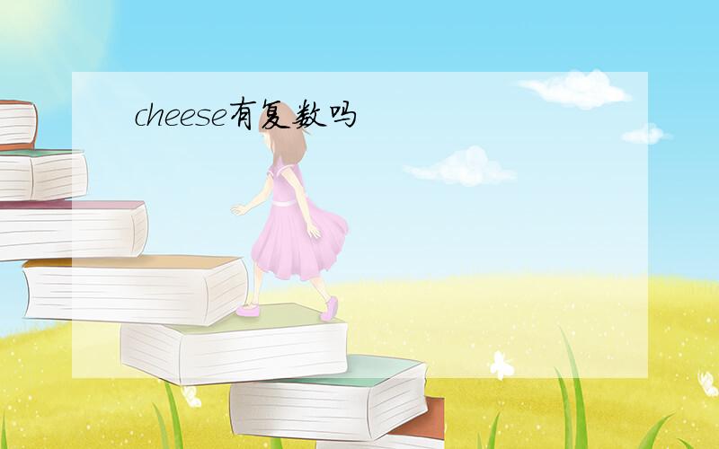 cheese有复数吗