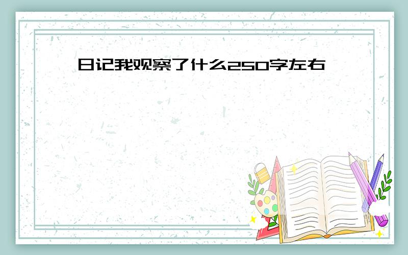 日记我观察了什么250字左右