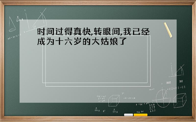 时间过得真快,转眼间,我已经成为十六岁的大姑娘了