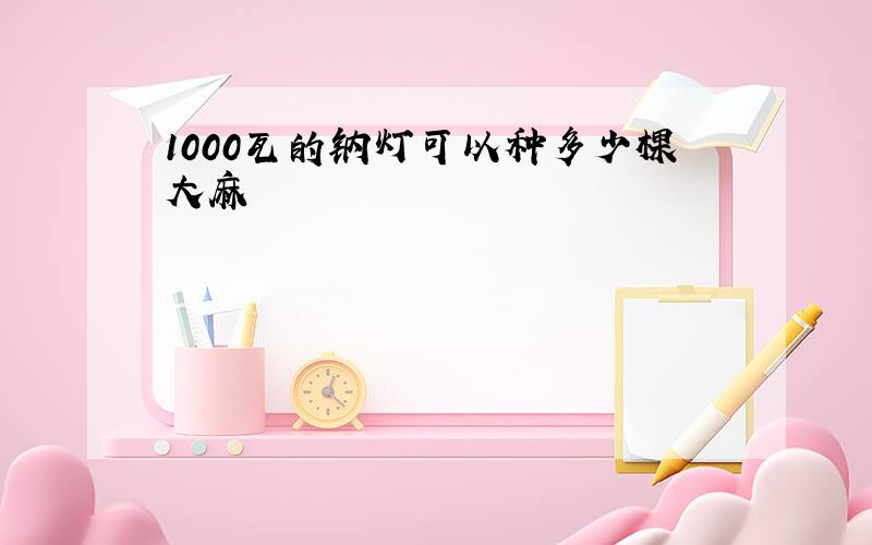 1000瓦的钠灯可以种多少棵大麻