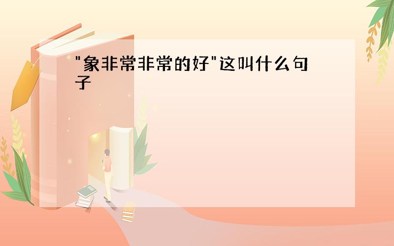 "象非常非常的好"这叫什么句子