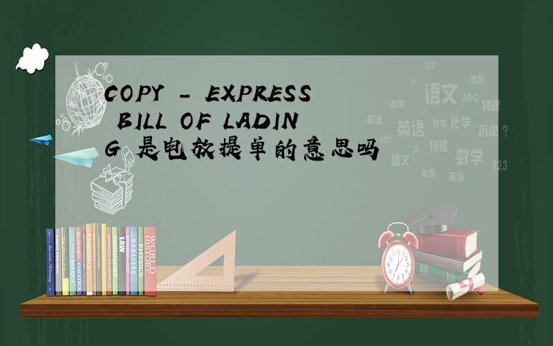 COPY - EXPRESS BILL OF LADING 是电放提单的意思吗