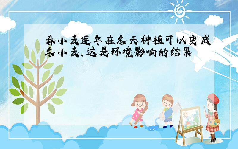 春小麦连年在冬天种植可以变成冬小麦,这是环境影响的结果