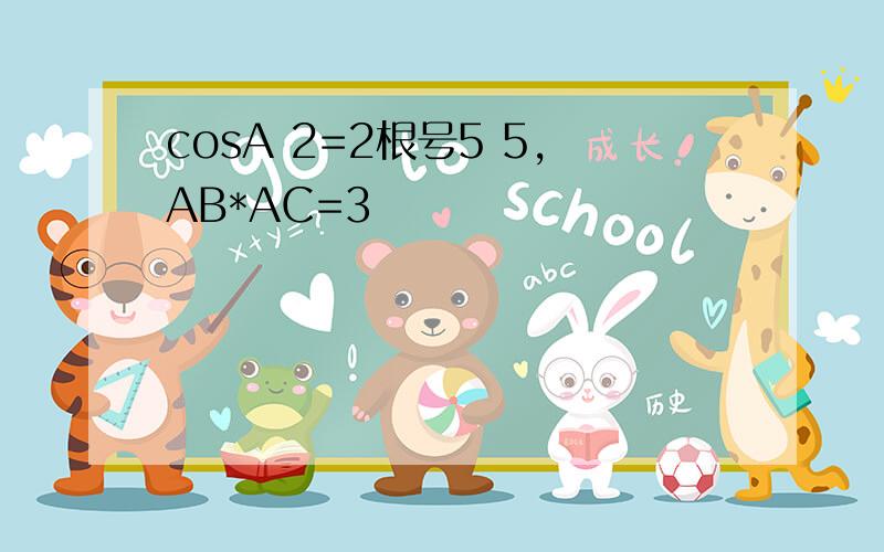 cosA 2=2根号5 5,AB*AC=3