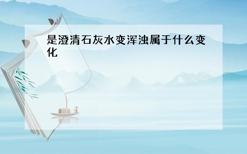 是澄清石灰水变浑浊属于什么变化