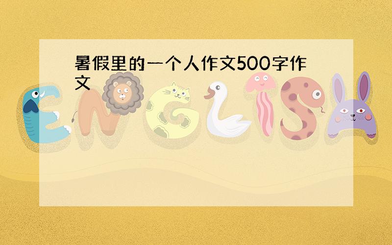 暑假里的一个人作文500字作文