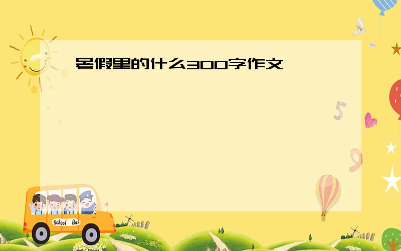 暑假里的什么300字作文