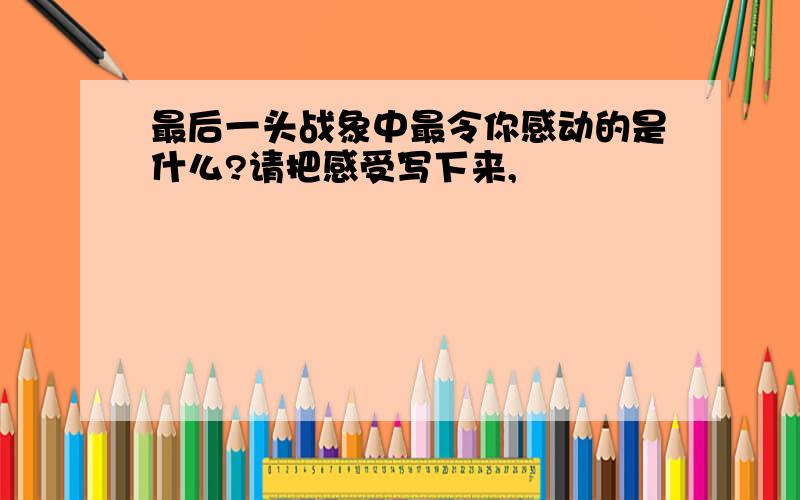 最后一头战象中最令你感动的是什么?请把感受写下来,