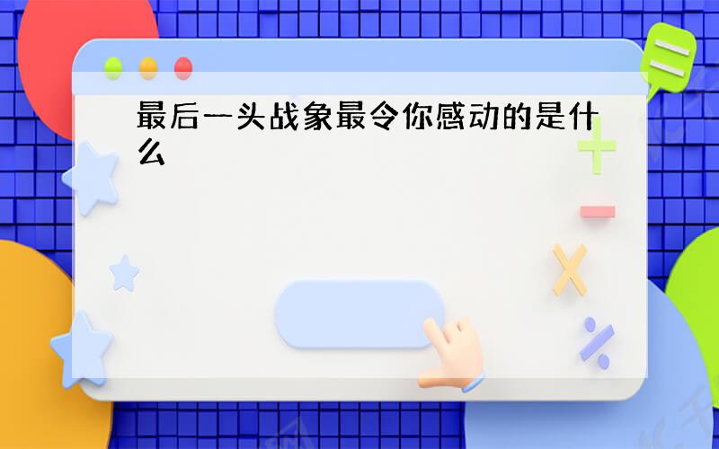 最后一头战象最令你感动的是什么