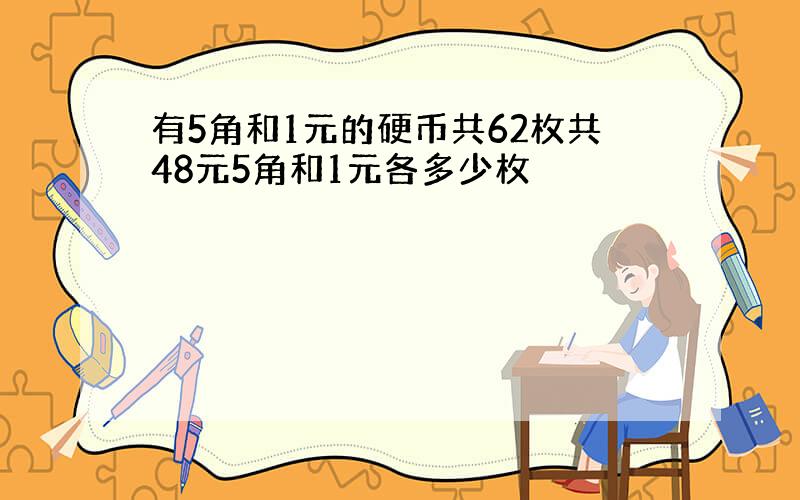 有5角和1元的硬币共62枚共48元5角和1元各多少枚