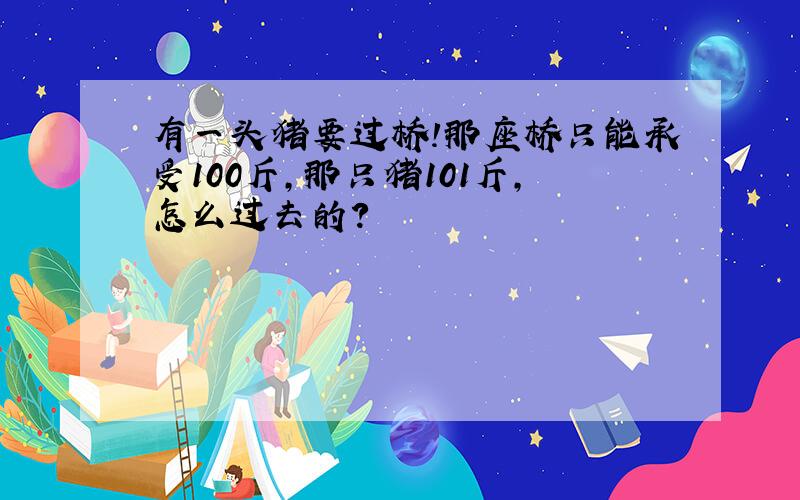 有一头猪要过桥!那座桥只能承受100斤,那只猪101斤,怎么过去的?