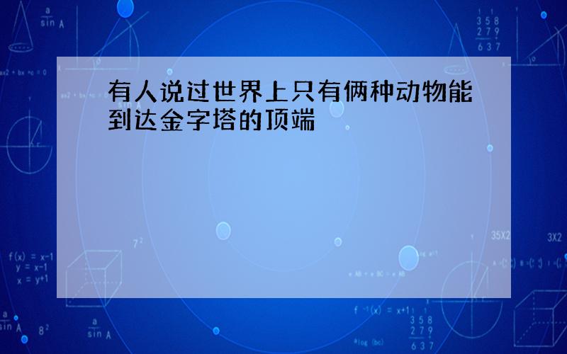 有人说过世界上只有俩种动物能到达金字塔的顶端