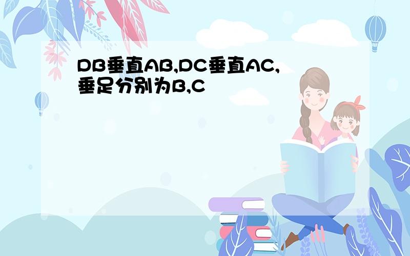 DB垂直AB,DC垂直AC,垂足分别为B,C