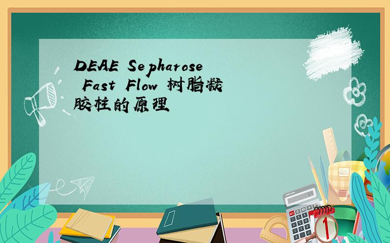 DEAE Sepharose Fast Flow 树脂凝胶柱的原理