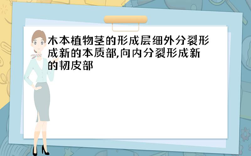 木本植物茎的形成层细外分裂形成新的本质部,向内分裂形成新的韧皮部