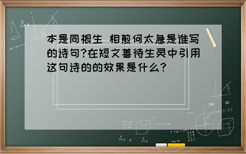 本是同根生 相煎何太急是谁写的诗句?在短文善待生灵中引用这句诗的的效果是什么?