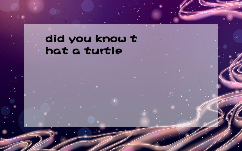 did you know that a turtle