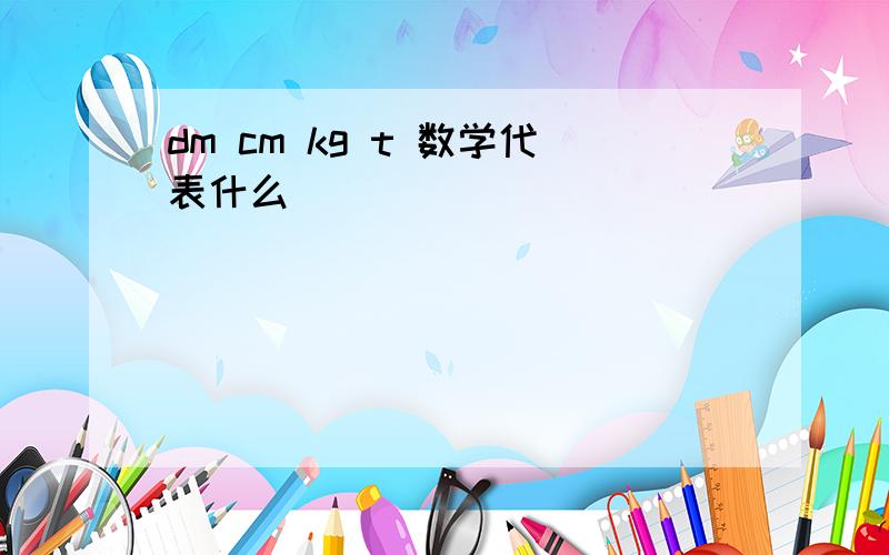 dm cm kg t 数学代表什么