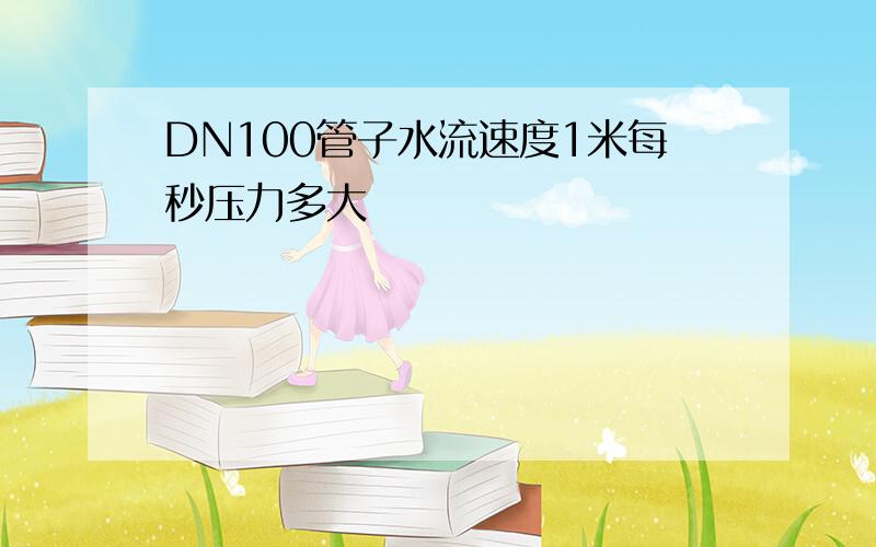 DN100管子水流速度1米每秒压力多大