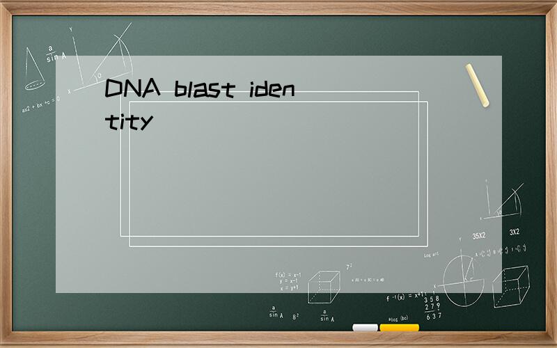 DNA blast identity