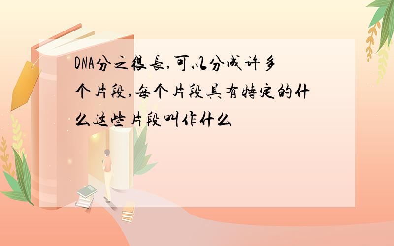 DNA分之很长,可以分成许多个片段,每个片段具有特定的什么这些片段叫作什么