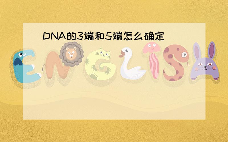 DNA的3端和5端怎么确定