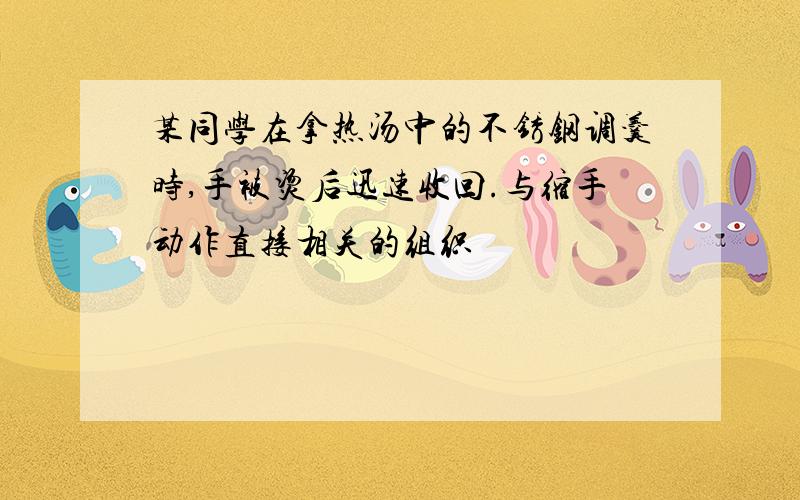 某同学在拿热汤中的不锈钢调羹时,手被烫后迅速收回.与缩手动作直接相关的组织