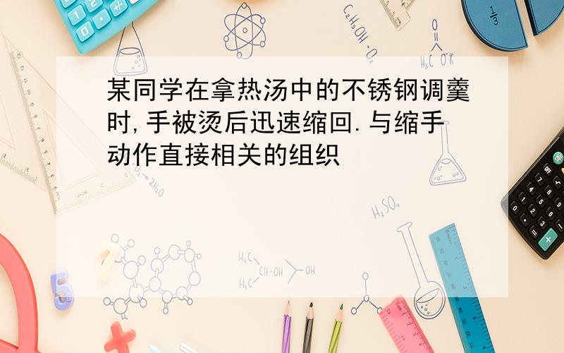 某同学在拿热汤中的不锈钢调羹时,手被烫后迅速缩回.与缩手动作直接相关的组织