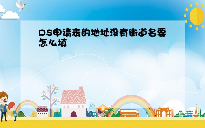 DS申请表的地址没有街道名要怎么填