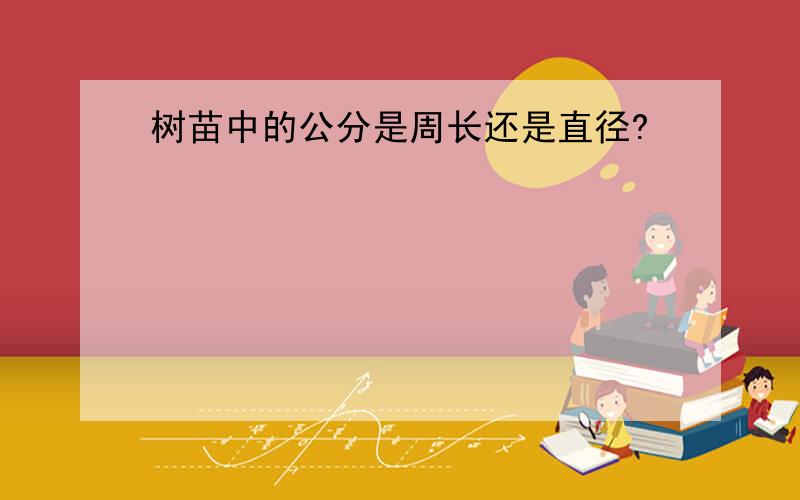 树苗中的公分是周长还是直径?