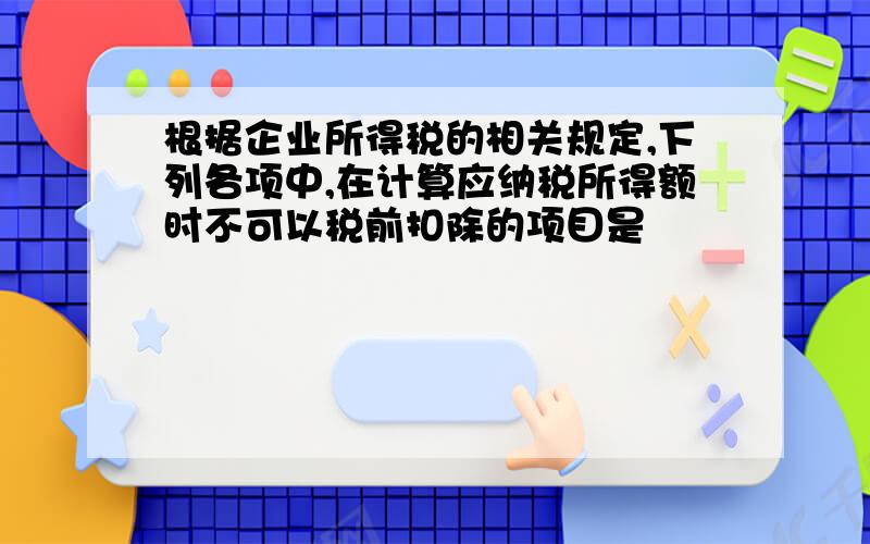 根据企业所得税的相关规定,下列各项中,在计算应纳税所得额时不可以税前扣除的项目是