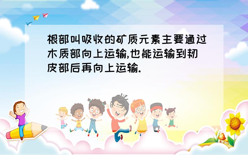 根部叫吸收的矿质元素主要通过木质部向上运输,也能运输到韧皮部后再向上运输.