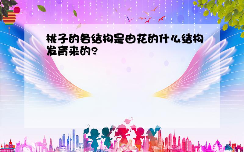 桃子的各结构是由花的什么结构发育来的?