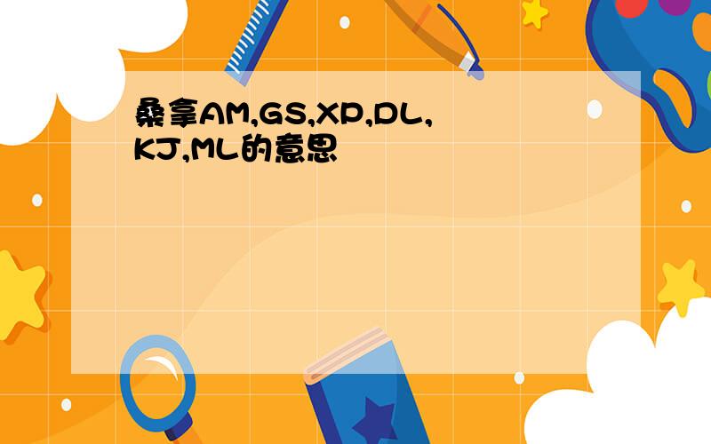 桑拿AM,GS,XP,DL,KJ,ML的意思